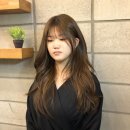 이즈미용실 이미지