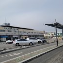 [2월 대구여행][1탄] 올튼 워디의(Oltin Vodiy) - 북부시외버스터미널 우즈베키스탄 현지음식 식당