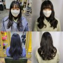 아프로디테헤어 네이버블로그