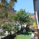 마당하우스 이미지