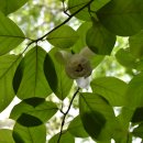 휴양림길 이미지