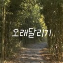 신표팩토리 네이버블로그