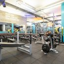 PURE GYM 이미지