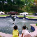 하늘리조트 이미지