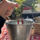 정은농장 | [제주 기록] 내돈내산 귤따기 체험, 1인 만원에 다녀온 '귤의정원 바령' 솔직후기