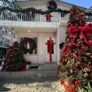 올더디저트 | 합정 두바이 쫀득쿠키 디저트 맛집 '올더어글리쿠키 트레몽' 내돈내산 솔직 후기!