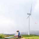 원형목장 이미지