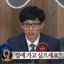 핏포레스
