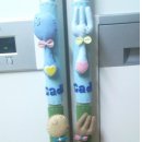 귀염댕이 Daum카페