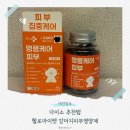 헬로펫 | [강아지피부영양제 추천] 다이소입점 헬로마이펫 강아지종합영양제 후기