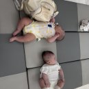 동탄 물노리베이비 그란비아스타점｜4개월 아기 방문 후기 🩵