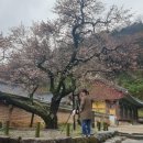 양지식당 이미지