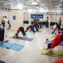 테라피요가(고급) 이미지