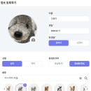 현대애견사료 이미지