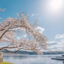 진양호 쉼터 이미지