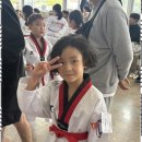 TL태권도 이미지