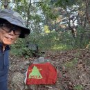 DS 태양광발전소 이미지