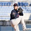 울산대파 이미지