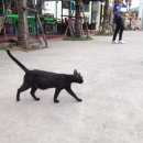 홀리데이브리즈 이미지