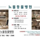 노블동물병원 이미지