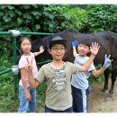 카우보이 이미지