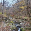 삼정야영장 화장실 | 합천 가야산국립공원 삼정 야영장 - 영지 16번 이용후기 / 오토 캠핑장