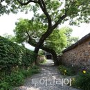 자연향기떡 이미지