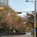 롯데서희공인중개사사무소 이미지
