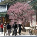 통도사로 이미지