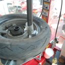 그린 모터스 이미지