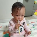 어린이집 칫솔세트는 퓨토 양치컵세트+첫니치약으로 준비했어요