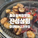 현촌5길 | [평택] 잡내 없이 깔끔한 막창 한판! 용이동 곱창맛집 ‘진성상회 용이점’ 재방문 후기