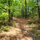 세종대왕릉역 관광안내소 이미지