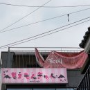 오피스메카서울지사 | 신창섭 데이 다음날에 메카를 갔더니 알고보니 🐬돌고래🐬 쇼였던 메생이의 삶에 대하여 🪽 🐬