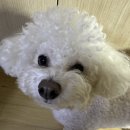 남악동물병원 이미지