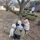 12월2주 생태체험(영차바위들기,덩굴나무그네타기,바스락바스락낙엽밟기,낙엽던지기,계단내려오기,흙놀이,물그림그리기,끼적이기,신문지하키놀이) 이미지