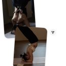 성장요가 | 시간이 만든 변화, 함께한 성장의 순간들 🌿 - 요가다솔 그룹 수업 후기 모음