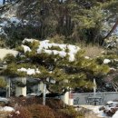 흥부바지걸쳐입고 | 전주 근교, 김제 금평 저수지 뷰 카페 &amp; 목살, 팥칼국수 현지인 맛집 _ 데케이즈 / 흥부바지걸쳐입고