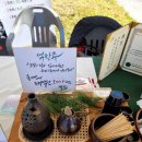 팜서영