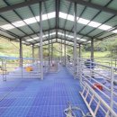 솔미축사 이미지