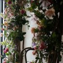 화훼장식기능사(중급) 이미지