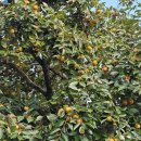 동천경로당 이미지