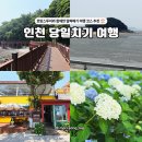 소담테크 | 인천 당일치기 여행, 십리포해수욕장 선재도 목섬 영흥도 바다향기수목원 로망스투어