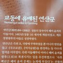 연산군 유배지 | 강화도 아이와 여행지 화개정원(연산군 유배지 역사여행)솔직후기