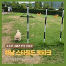 펫코스(Pet-cose) | 하남 스타필드 펫파크 대형견·소형견 분리, 위치·운영시간·주차 후기