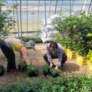 통영시 농업기술센터 이미지