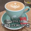 부산공항 LPG충전소 | [부산/강서구] 히떼로스터리 강서점, 김해공항 근처 애견동반 가능한 로스터리 카페