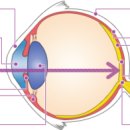 아이존 안경 이미지