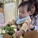 깍두기 담그기 놀이 &무 치발기~ 이미지