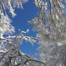 사랑비디오 이미지